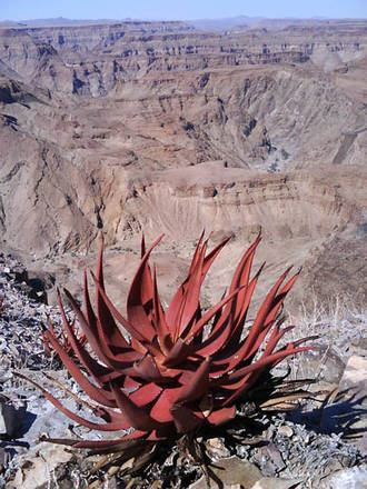 22_fish river canyon