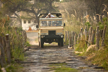 05_safari v deltě Okavango