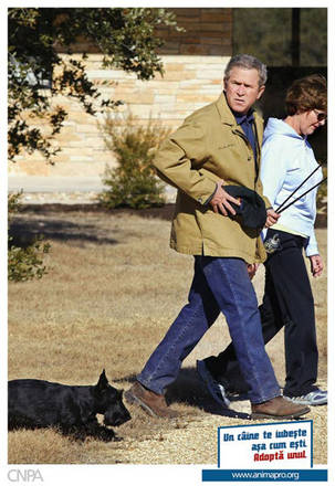 *** vedle sebe Bush a Hitler se psy