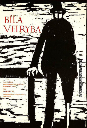 bila_velryba